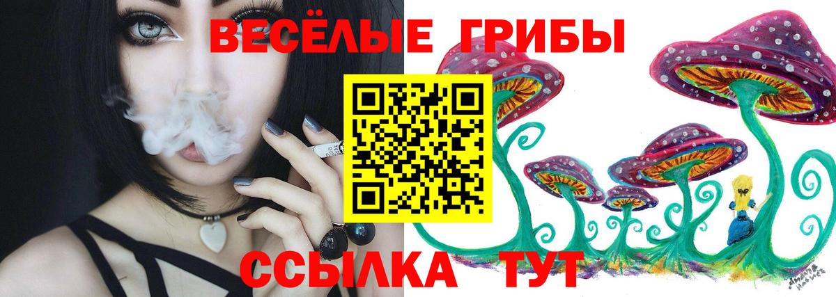 Галлюциногенные грибы мицелий  Вход с VPN  Волхов 